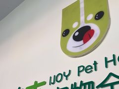 -艾吉宠物医院·疑难杂症转诊中心·猫友好(碧江路院)