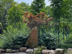 -上海市保健医疗中心