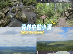 -汤旺河林海奇石景区