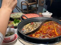 -龙厂长老火锅(抚琴店)