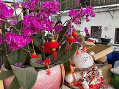 -光头佬室内钓虾场·烧烤·团建·亲子(中山八路店)