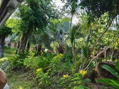 -三亚珠江南田温泉度假区