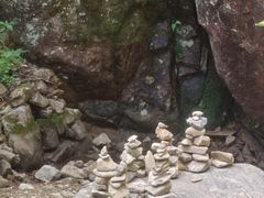 -天目山大树王景区