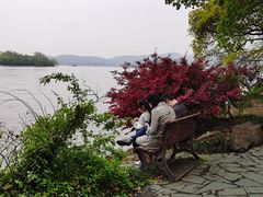 -苏堤停车场