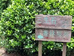 -杭州西湖风景名胜区-三生石