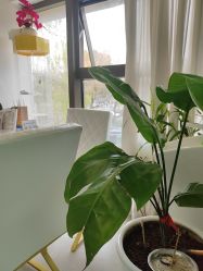 -斐尔国际皮肤管理中心