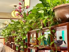 -江城小馆陕南妈妈菜·全球旅行餐厅(钟楼店)