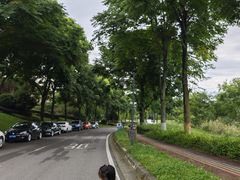 -成都蒲江花样年福朋喜来登度假酒店·宜客乐西餐厅