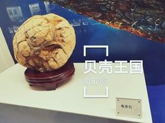 -贝壳王国博物馆