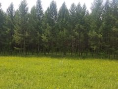 -塞罕坝国家级自然保护区