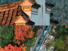 -四明山国家森林公园
