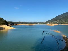-广州市流溪河国家森林公园