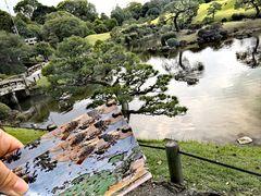 -水前寺成趣园