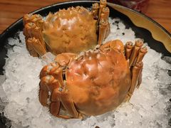 -同庆楼(华强吾悦广场店)
