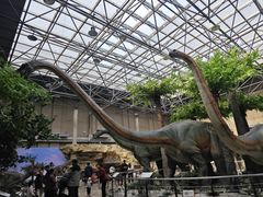 -国家自然博物馆