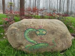 -合肥滨湖国家森林公园