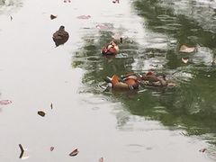 -宁波杭州湾海底温泉