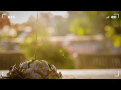 -至尚形象·化妆服饰搭配礼仪培训