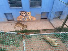 -青藏高原野生动物园