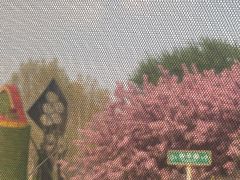 -廊坊文化艺术中心