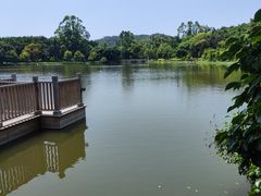 -泉州迎宾馆