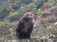 -硗碛藏寨·神木垒景区