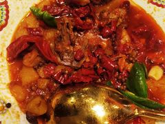 -巴依老爷新疆美食(工体旗舰店)