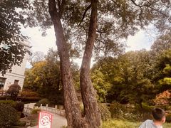 -南京东郊国宾馆