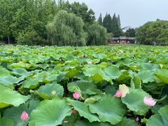 -东坡赤壁风景名胜区