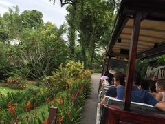 -新加坡飞禽公园