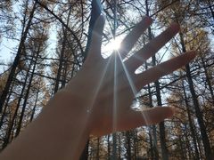 -塞罕坝国家级自然保护区