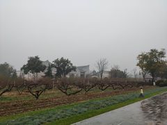 远眺展馆-习仲勋故居