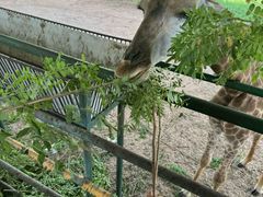 -秦皇岛野生动物园