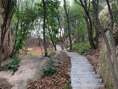 -六里坪国家森林公园