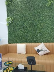 -南京医科大学友谊整形外科医院