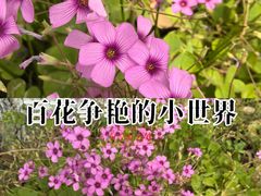 -上海交通大学(闵行校区)