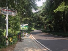 -紫金山索道-售票处