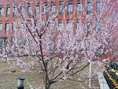 -大连理工大学(凌水校区)