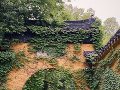 -西园戒幢律寺