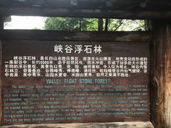 -峡谷浮石林景区