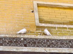 -艾提尕尔清真寺