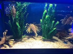 -青岛海底世界-水族馆