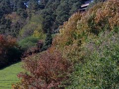 -敬亭山风景名胜区