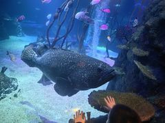 -沈阳海洋探索中心