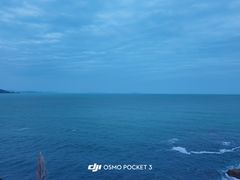 -杨梅坑