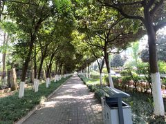 -棕榈泉国际花园1期