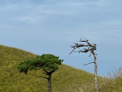 -萍乡武功山风景名胜区