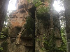 -汤旺河林海奇石景区