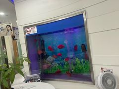 -雅悦齿科(顾村公园店)
