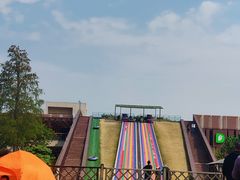 -黄海国家森林公园